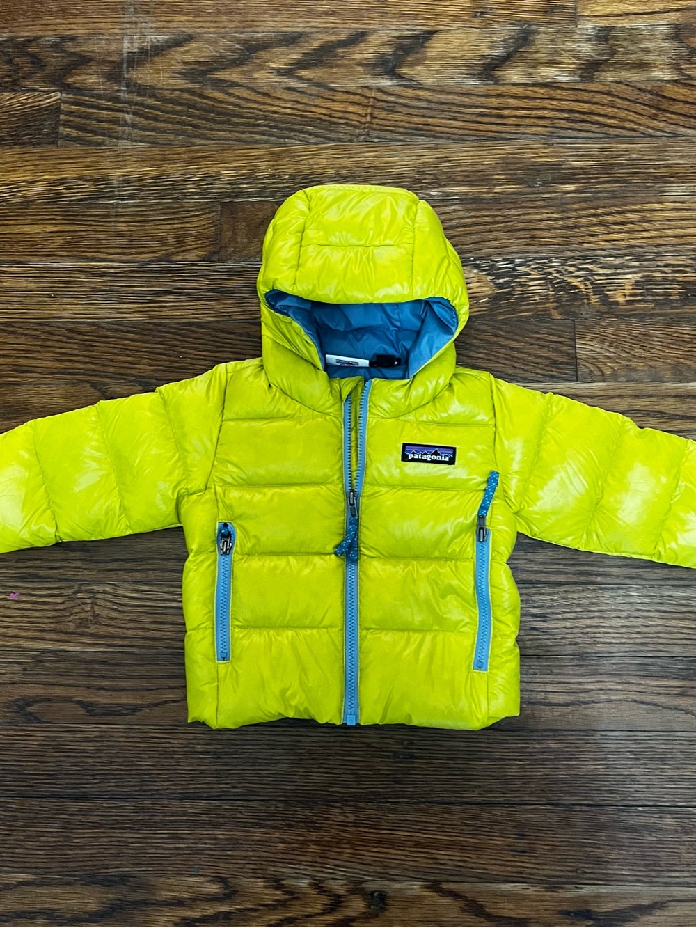 Patagonia Kids Neon Yellow Hooded Puffer with Blue Trim